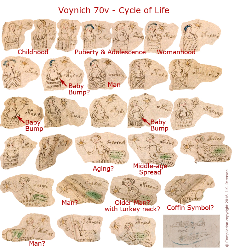 VMS 70v cycle of life