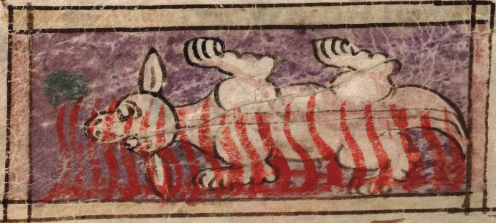 [Image of medieval salamander that resembles a kangaroo]