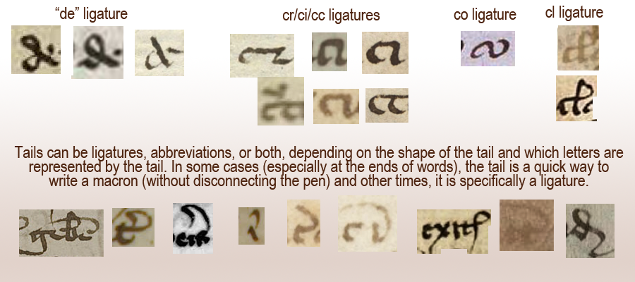 [Image: ExamplesofLatinLigatures.png]