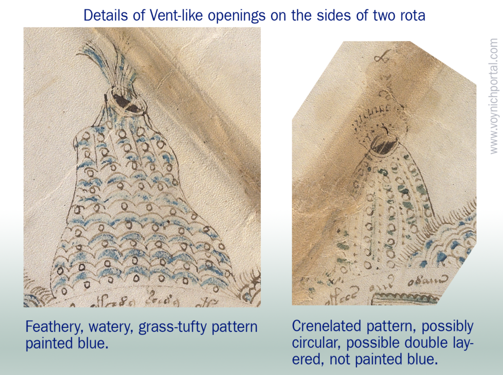 vent-like textures in the Voynich Manuscript "map" foldout