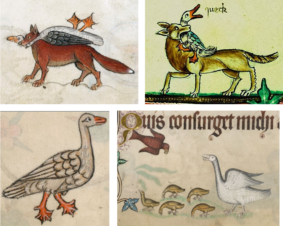 Drawings of geese from the Luttrell Psalter and the Gorleston Psalter.