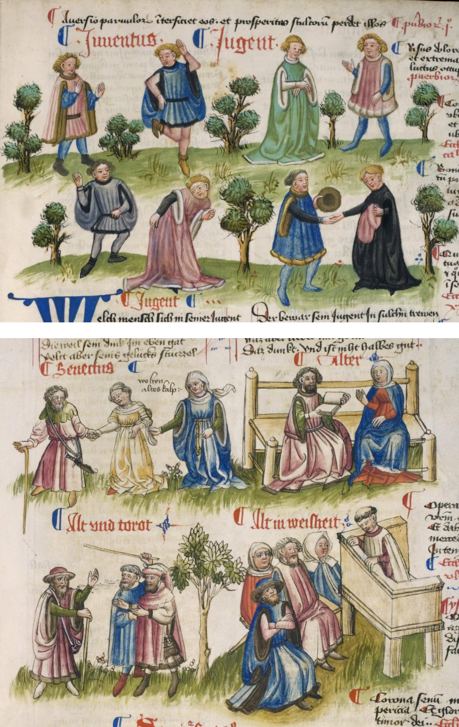 The stages of life from youth to old age from Cod. pal. germ. 471.