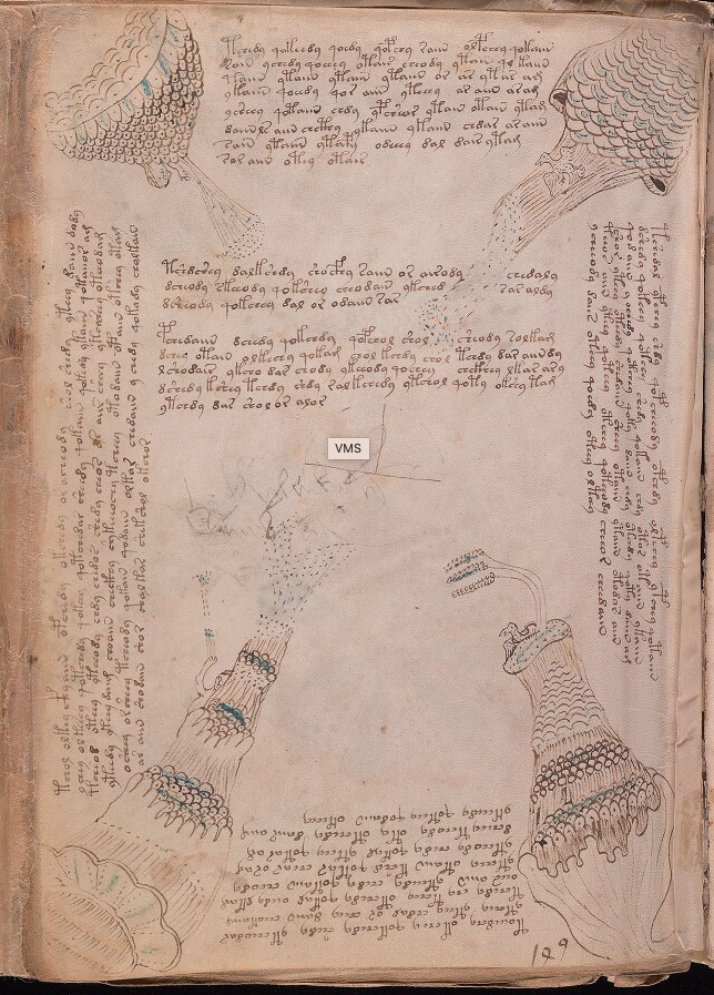 Voynich Manuscript folio 86v image of birds, cloudlike formations and tall tors