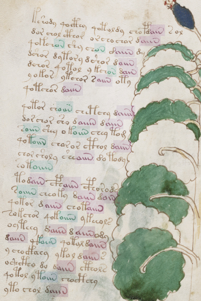 Voynich Manuscript f37v line affinity patterns for ain and oin sequences.