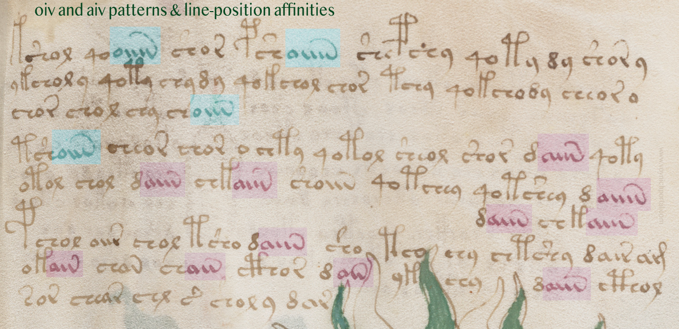 Voynich Manuscript minim pattern line affinities