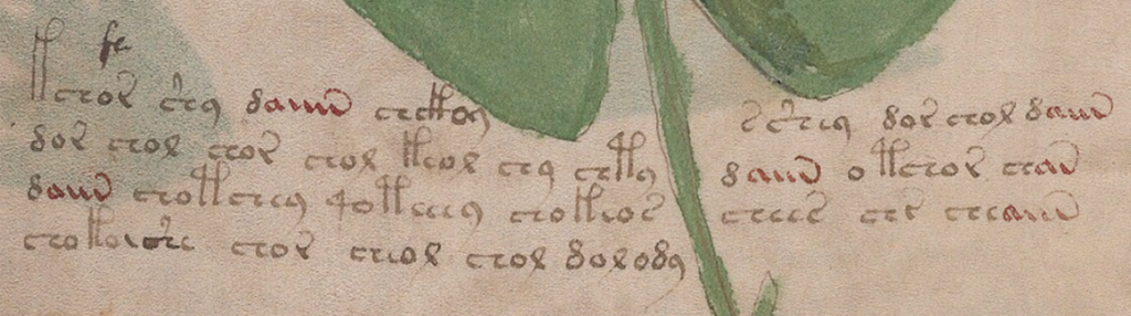 Voynich Manuscript f2v ain
